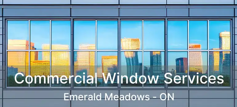  Commercial Window Services Emerald Meadows - ON