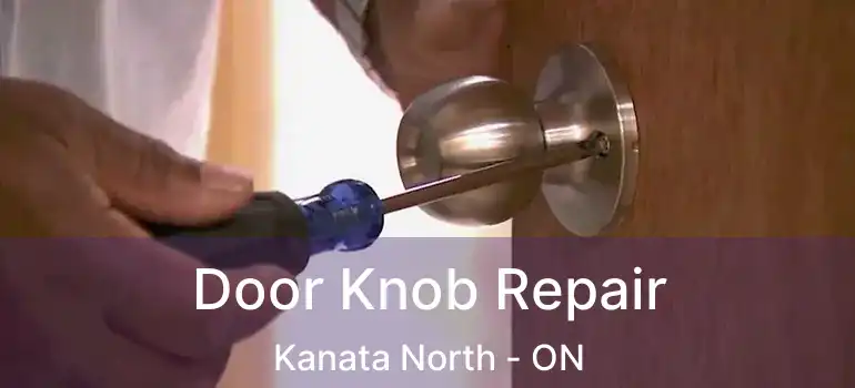  Door Knob Repair Kanata North - ON