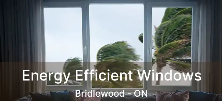  Energy Efficient Windows Bridlewood - ON