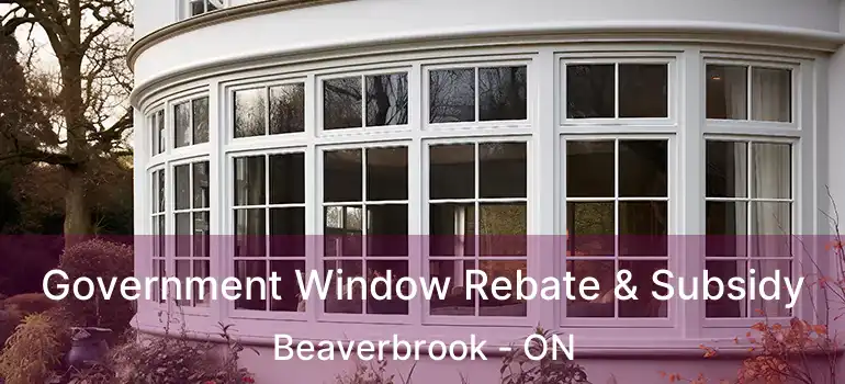  Government Window Rebate & Subsidy Beaverbrook - ON