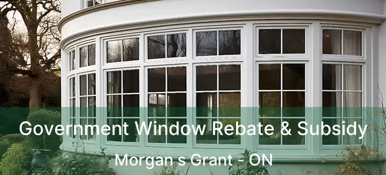  Government Window Rebate & Subsidy Morgan s Grant - ON