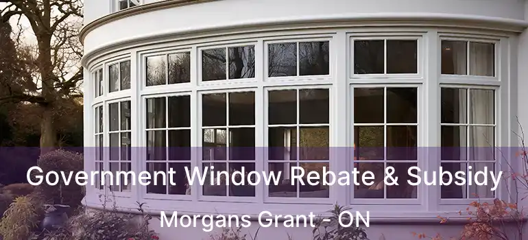 Government Window Rebate & Subsidy Morgans Grant - ON