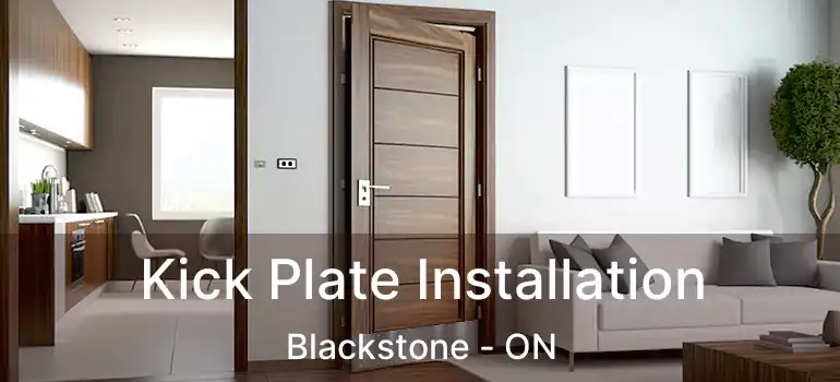  Kick Plate Installation Blackstone - ON