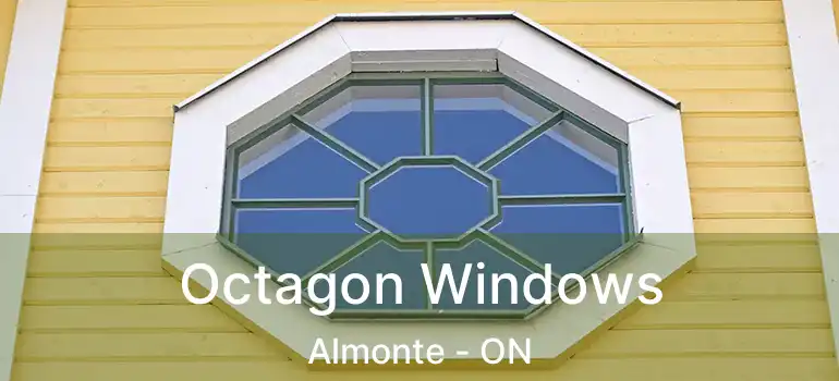  Octagon Windows Almonte - ON