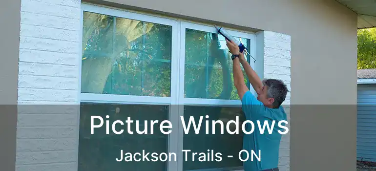  Picture Windows Jackson Trails - ON