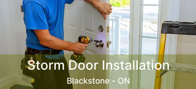  Storm Door Installation Blackstone - ON