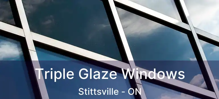  Triple Glaze Windows Stittsville - ON