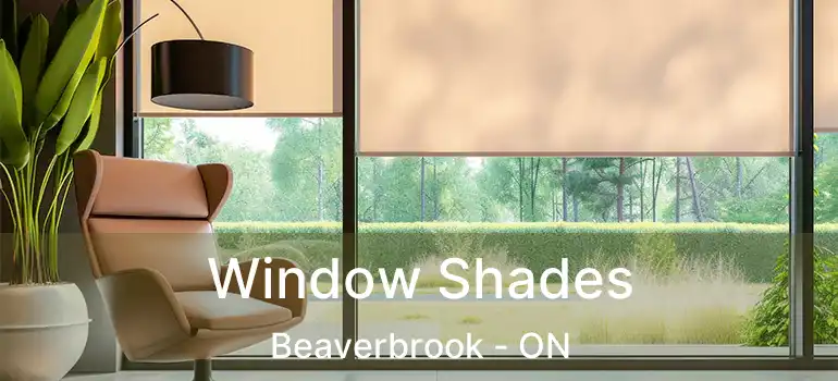  Window Shades Beaverbrook - ON